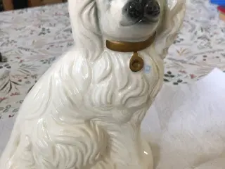 Sømands hund 