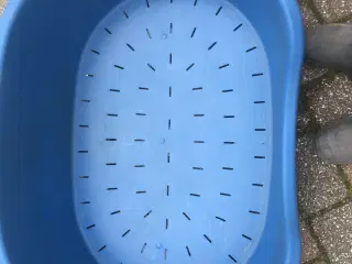 Hundekurv