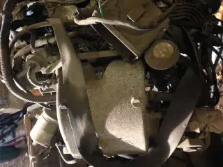 205 GTi