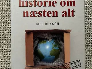En kort historie om næsten alt