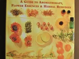 the encyclopedia of healing plants, by chrissie wi
