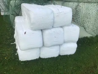 Wraphø
