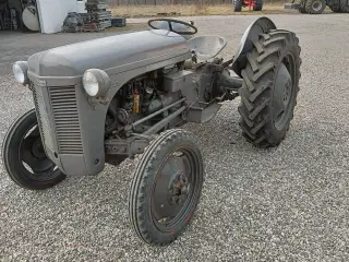 Ferguson 35 Benzin