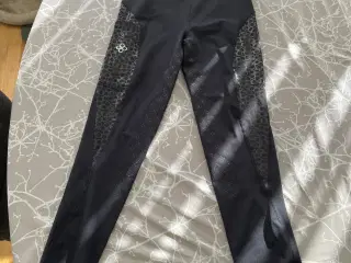 Kingsland ridetights