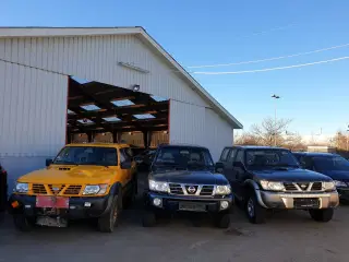Nissan King Cab købes til export