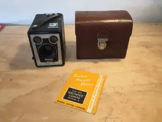 Brownie