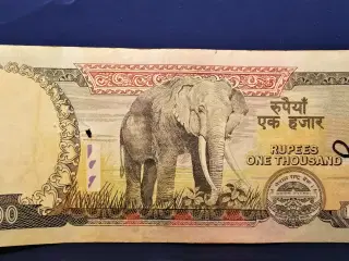 NEPAL FLOT 1000 RUPEES 2012 