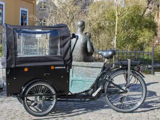 Kaleche El ladcykel - FABRIKSNY