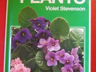 Violet Stevenson: Indoor Plants