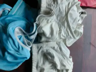 Bh 