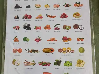 Plakat: Alverdens frugter 30x40