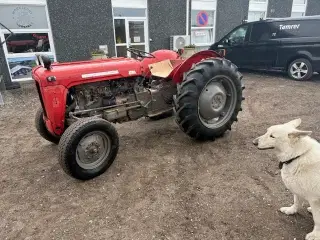 Massey Ferguson 35 benzin