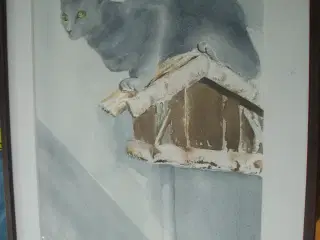 Kat og fuglehus