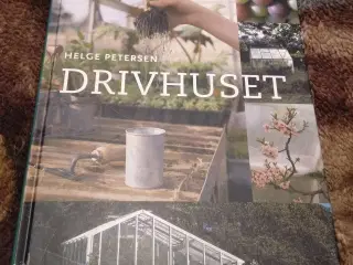 Drivhuset