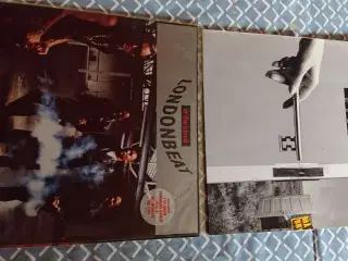 LP