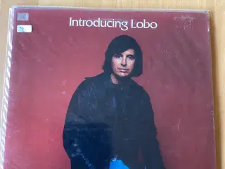 Lp - Bud modtages