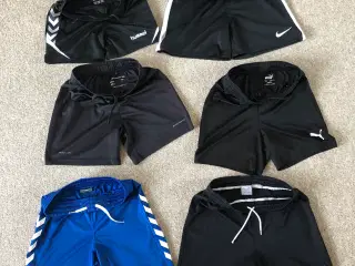 Shorts til børn