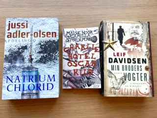 Bogpakke til salg – 50 kr. pr. bog!