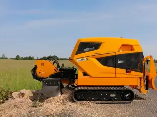 Laski P56 RX