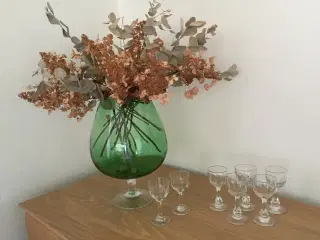 5 gl.  glas. 