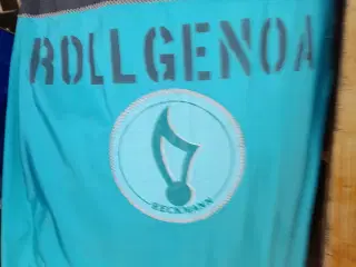 Rullegenua