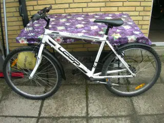 drenge cykel