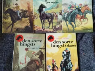 Den sorte hingst