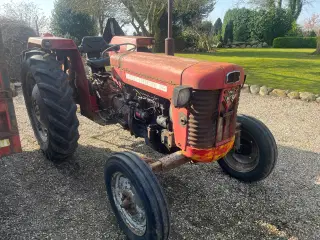 Massey Ferguson 65 mak.2
