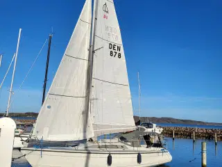 Sejlbåd Dehler 31 Duetta fra 1988