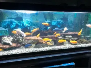 325 liters Akvarium