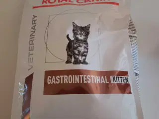 Royal Canin GastroIntestinal Kitten